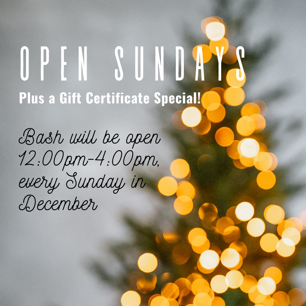 Bash will be open Sundays in December